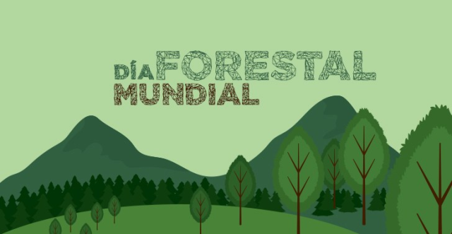 El Día Mundial Forestal