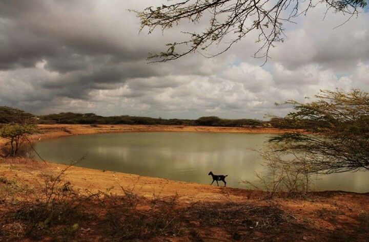 Jagüeyes, el nuevo capítulo de aparente corrupción en la Ungrd: en juego hay $75.000 millones