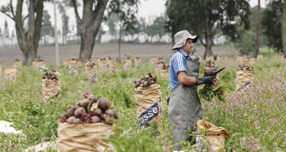 Gobierno nacional aclara mitos sobre la reglamentación de la Jurisdicción Agraria y Rural