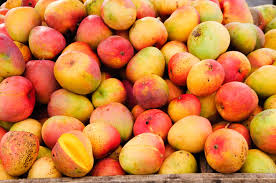 Vendedores del mercado de Barranquilla botaron su producción de mangos por falta de compradores