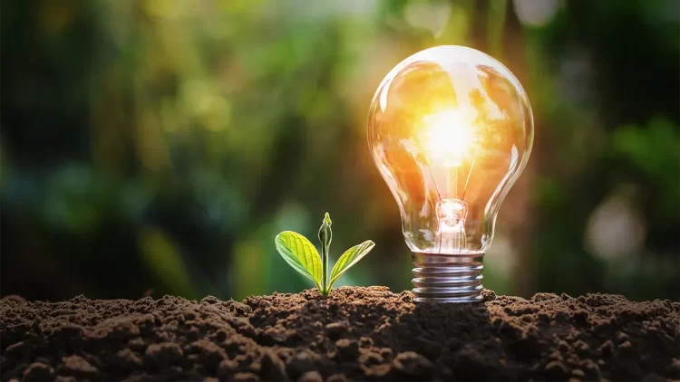 Día Mundial del Ahorro de Energía: una oportunidad para reflexionar sobre nuestro consumo