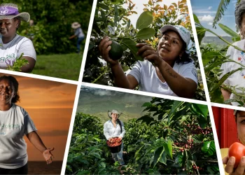 ANT formalizó y entregó tierras a más de 700 mujeres colombianas en el Día Internacional de las Mujeres Rurales