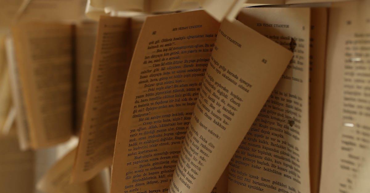 Los libros más vendidos de 2025: un año de éxitos editoriales en todos los géneros