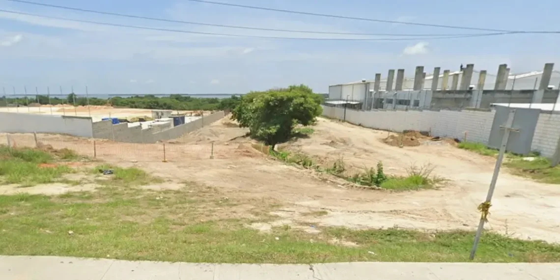 Alerta por nuevos lotes que serán entregados a la comunidad en Villa Campestre y Ciudad Mallorquín
