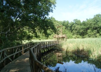 EECO transforma residuos del Parque Isla Salamanca en una escultura para celebrar sus 62 años