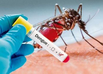 ¿Cómo prevenir el dengue durante la temporada de mosquitos? Estas son las recomendaciones