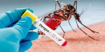 ¿Cómo prevenir el dengue durante la temporada de mosquitos? Estas son las recomendaciones